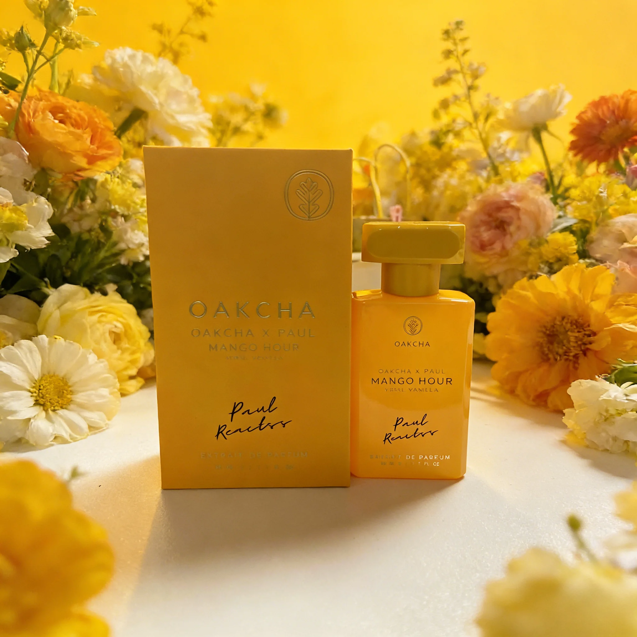 OAKCHA Serie Herren- & Damenpa – Perfume Long Fragrance Bewertung und Preis