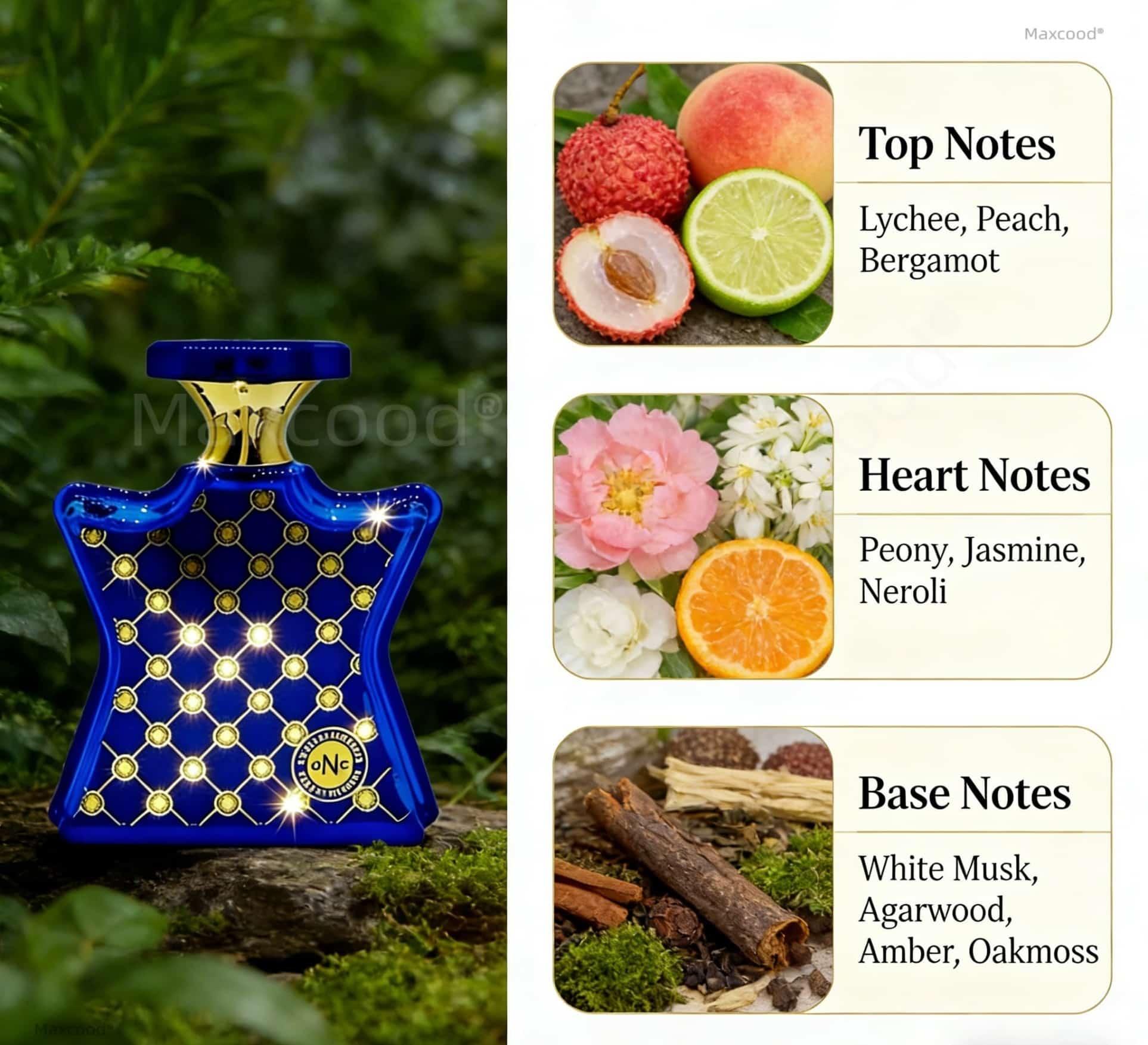 Zitrus- und Blumenparfüm, lang – Perfume Fragrance For Girls Bewertung und Preis