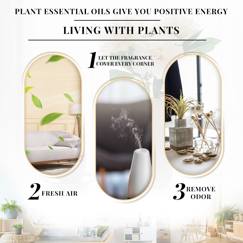 EVOKE Jasmin-Duftöl 100 ml, ge – Perfume Fragrance Enhancer Bewertung und Preis