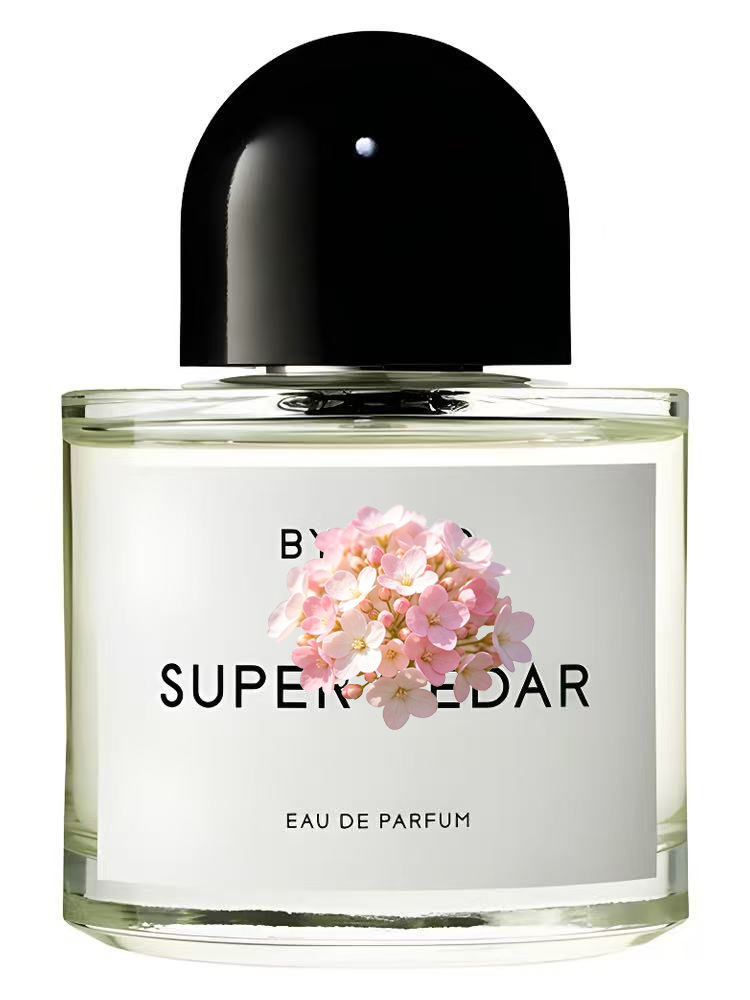 Unisex Eau de Parfum 100ml 3.4 – Perfume Floral Fragrance Bewertung und Preis